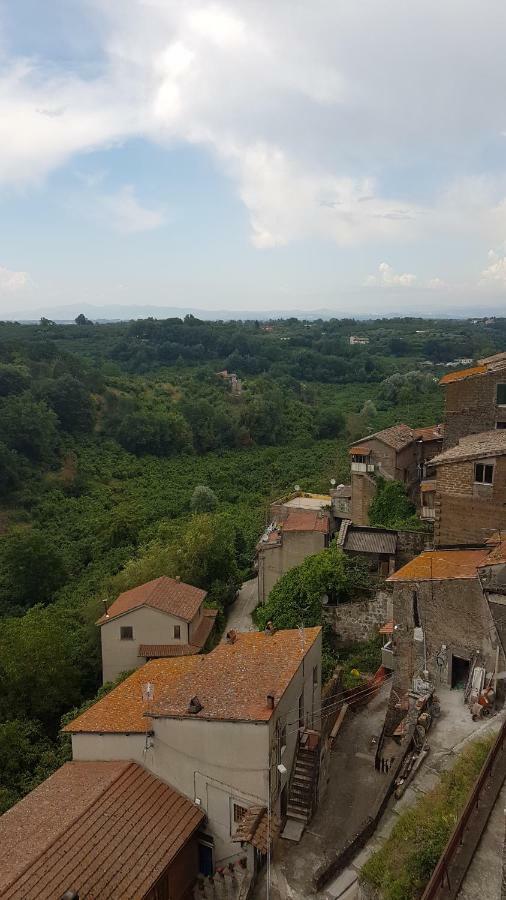Loft Giuly Apartment Vignanello Bagian luar foto
